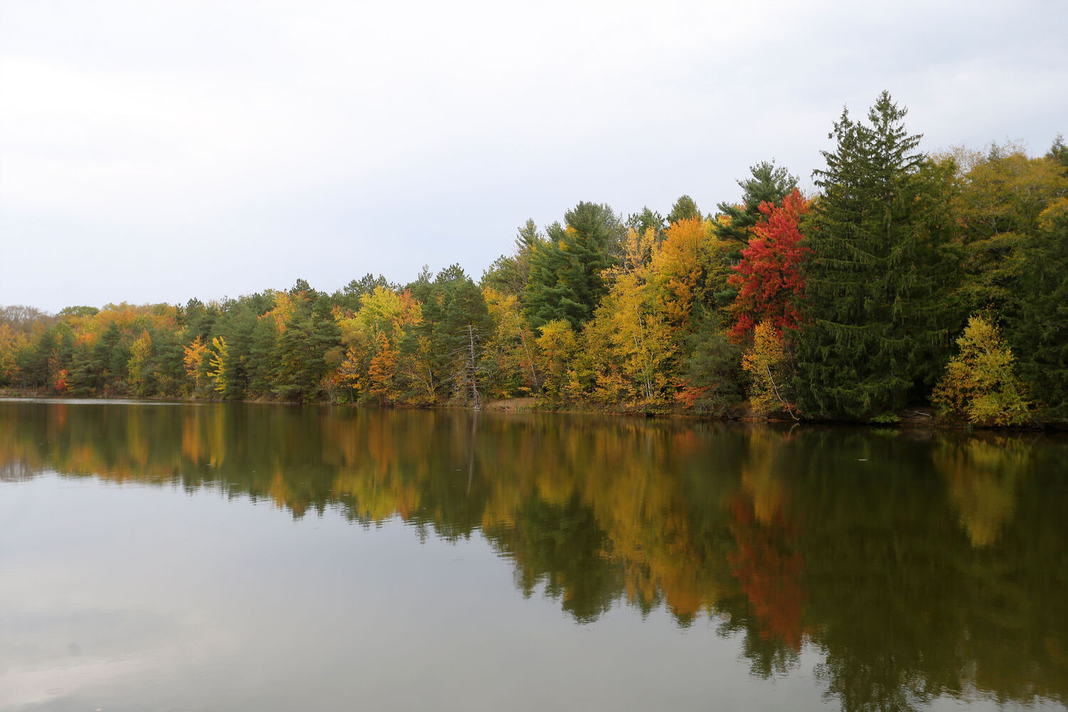 Chestnut Ridge